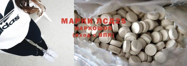 PSILOCYBIN Алзамай