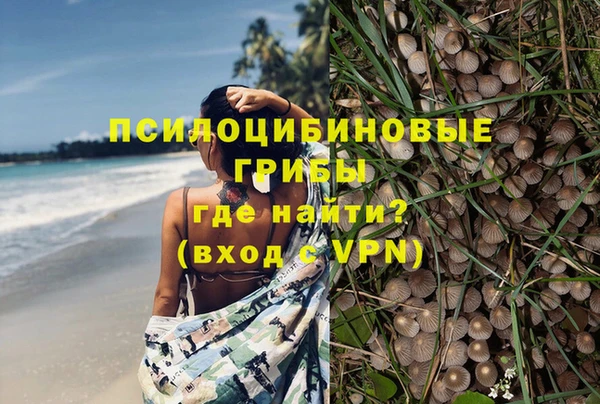 ешки Армянск