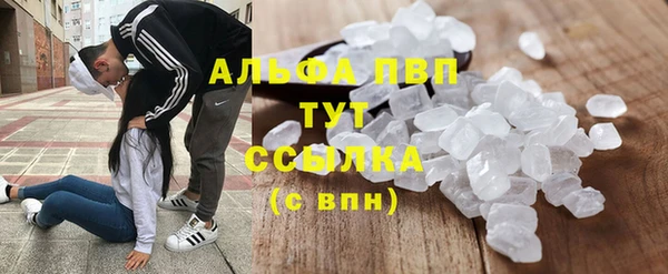 Альфа ПВП Аркадак